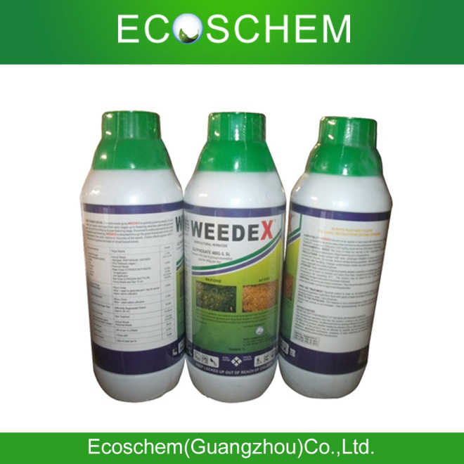 GLYPHOSATE
